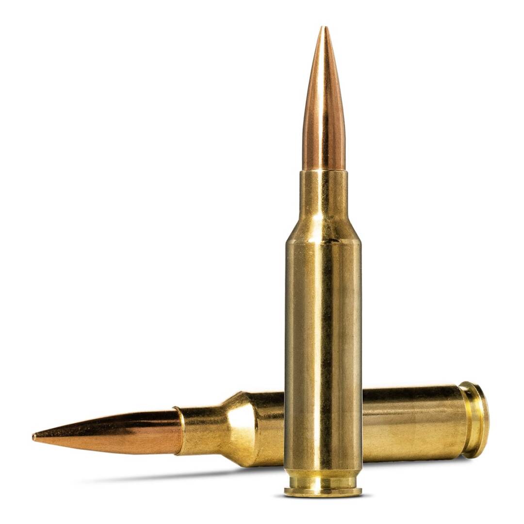 norma-6-5-creedmoor-golden-target-143-gr2