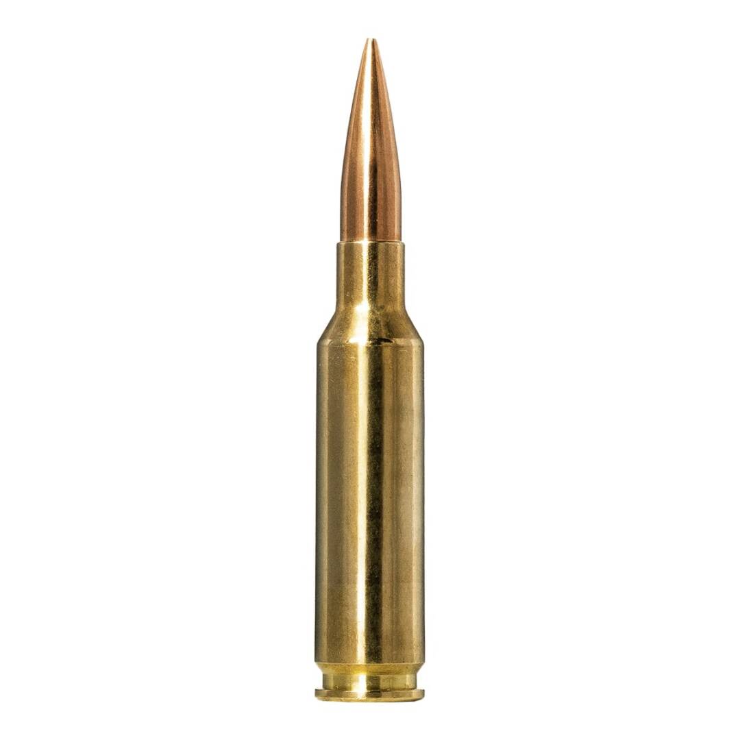 norma-6-5-creedmoor-golden-target-143-gr3