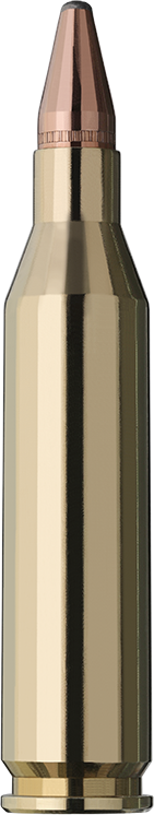 rws-243-winchester-kegelspitz-95-gr1