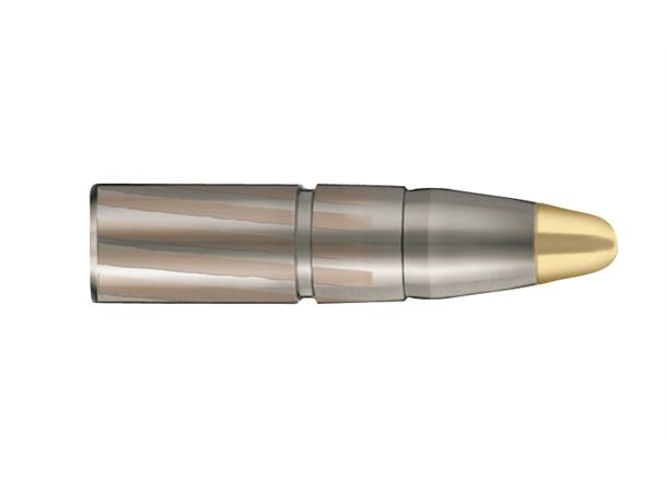 rws-7x65r-evolution-159-gr 1