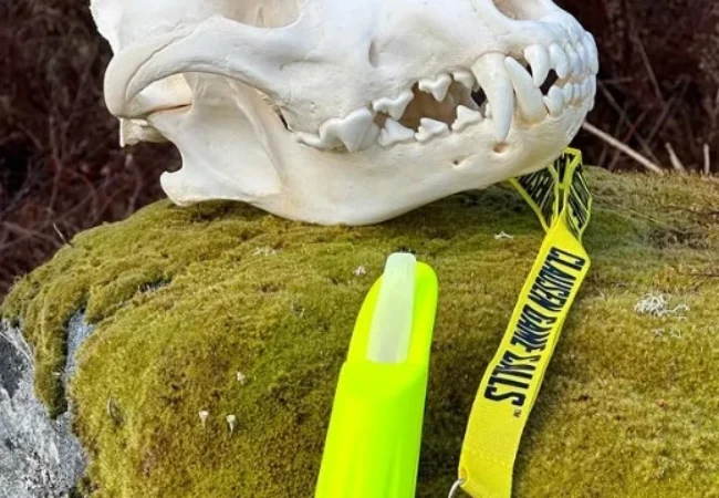 Свирка Clausen PredatorCall Magnum